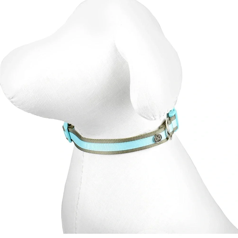 Aqua Martha Stewart Nylon Dog Collar 18-26”